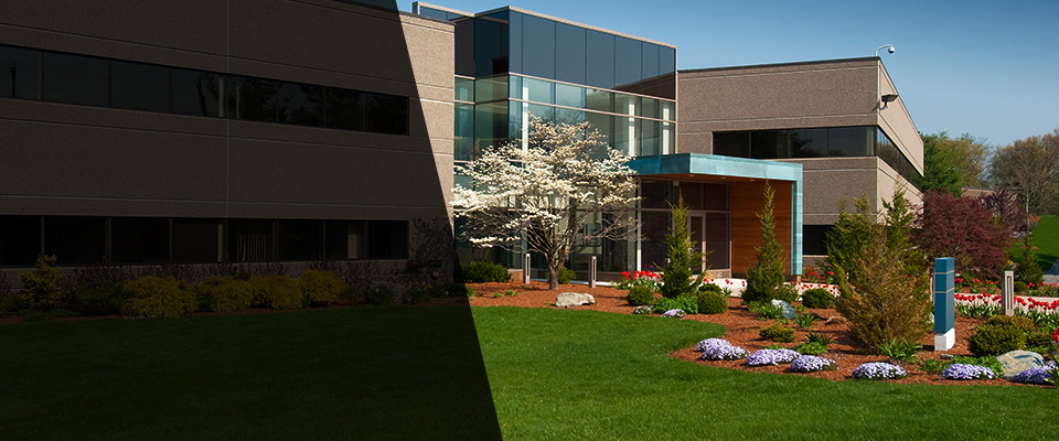 Davis Junction Landscapers