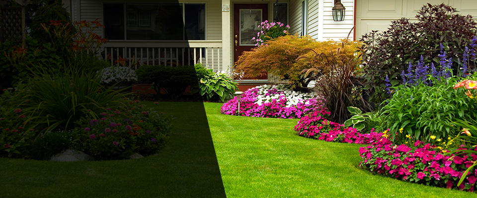 Davis Junction Landscapers