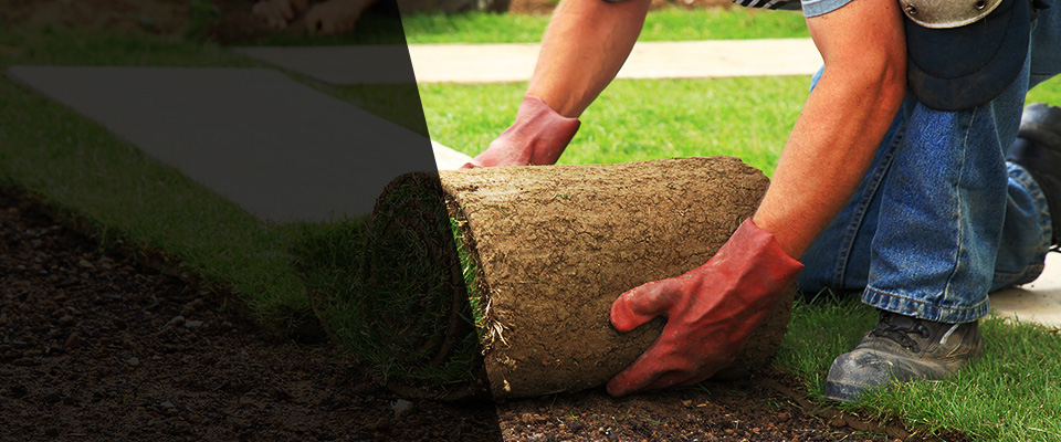 Davis Junction Landscapers